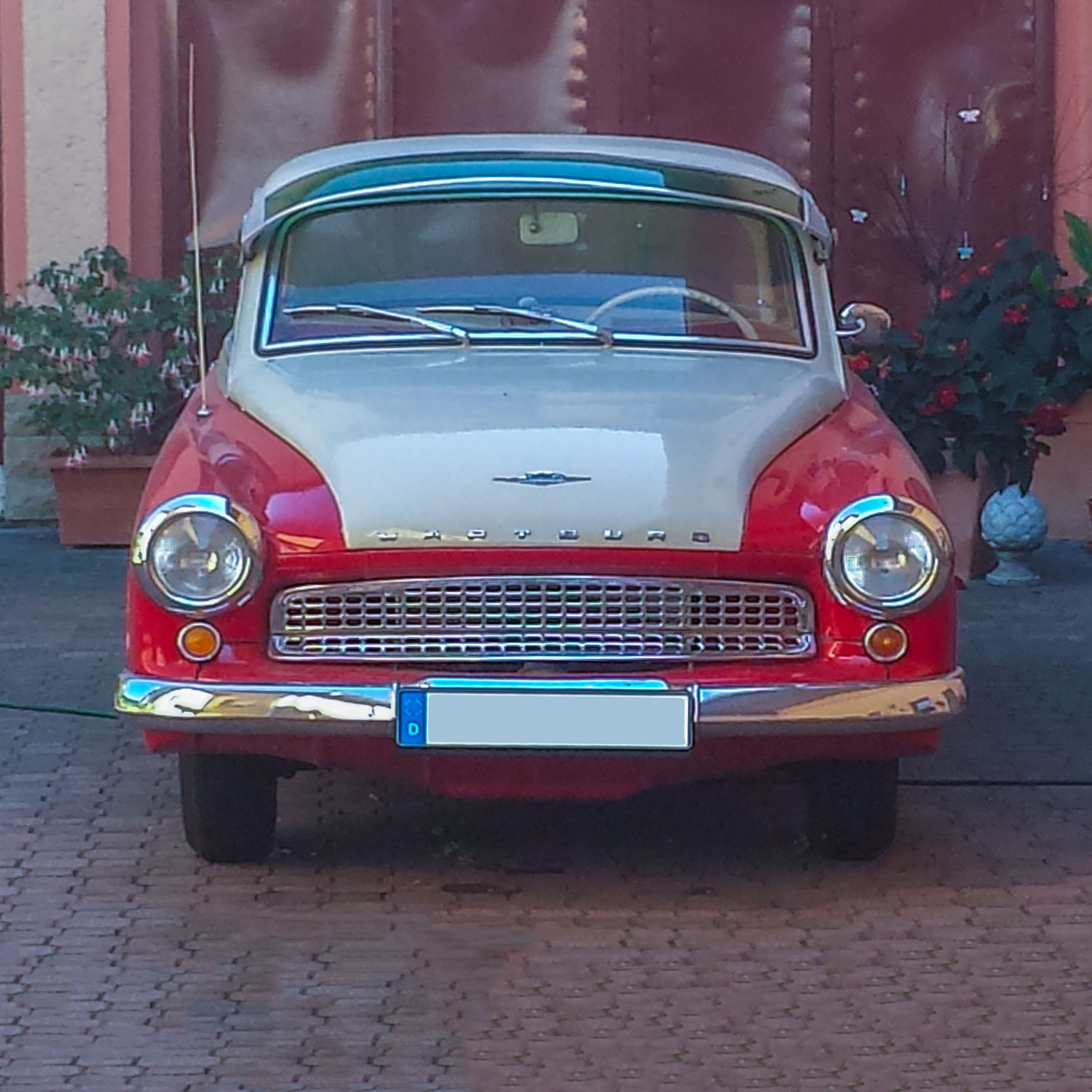 Cars W