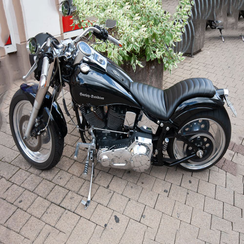 Evo Softail