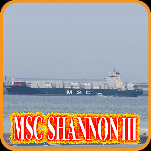 MSC Shannon III