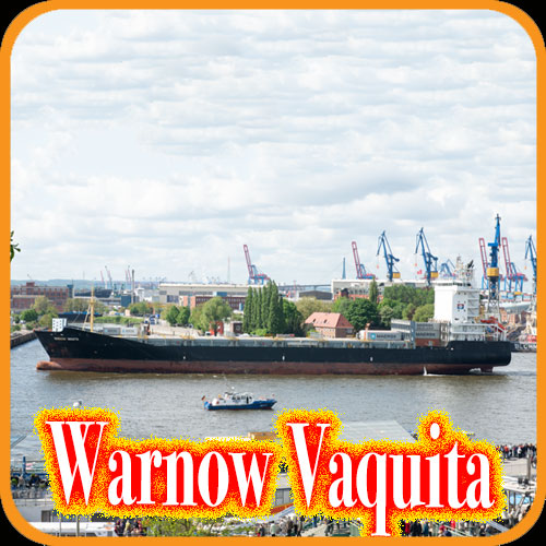 Warnow Vaquita