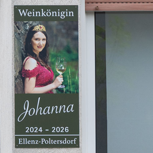 Doktorfischartige