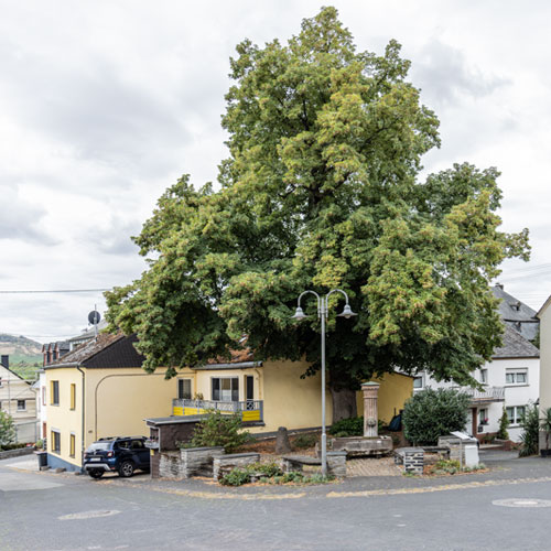 Klüsserath / Ortsansicht